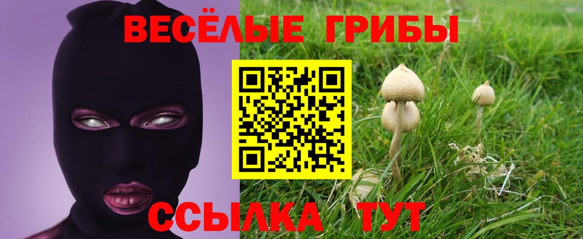Псилоцибиновые грибы Magic Shrooms Воронеж