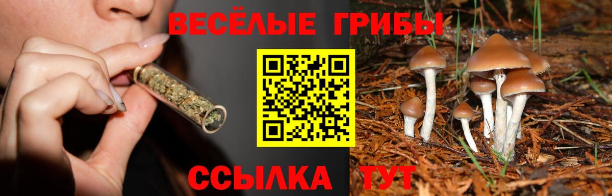 Псилоцибиновые грибы мицелий  Вход с VPN  Воронеж 